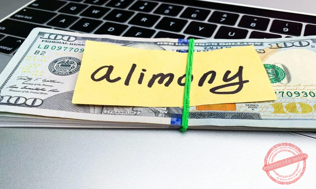 Alimony attorney discussing spousal support case